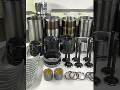 برند DAILY REFINING